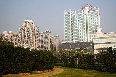 玩家自制精灵宝可梦配色Xbox Series X＆S手柄